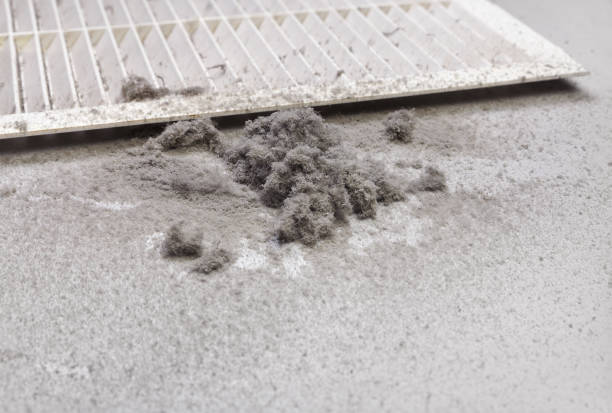 Best HVAC System Cleaning  in Destrehan, LA