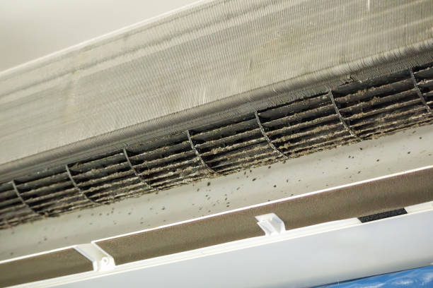 Best HVAC Maintenance and Cleaning  in Destrehan, LA